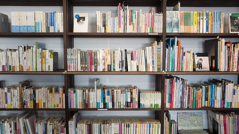 The Backlog Problem: Why Your Watchlist Grows Faster Than You Watch